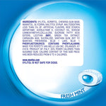 Mentos sugar free chewing gum with green tea extract for oral care