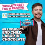 24 count box of authentic imported Feastables chocolate