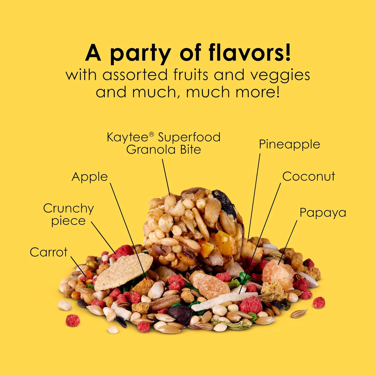 Graphic showing ingredients in Kaytee Fiesta bird diet
