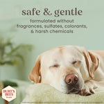 Burt's Bees pet care natural origin sulfate free dog shampoo bottle back label.