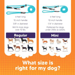 Close up of Heather's Heroes dog training headcollar fastener