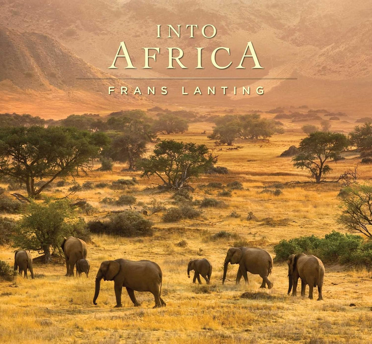 Into Africa - Image 1