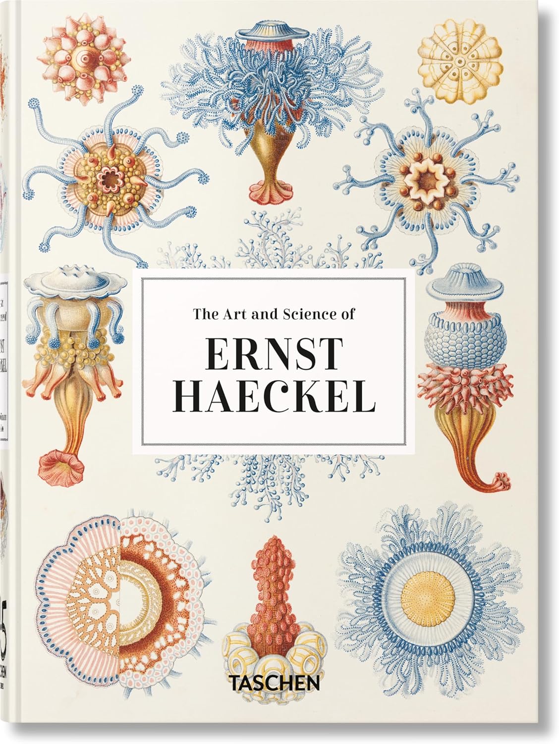 The Art and Science of Ernst Haeckel. 45th Ed. (45th Edition) - Image 1