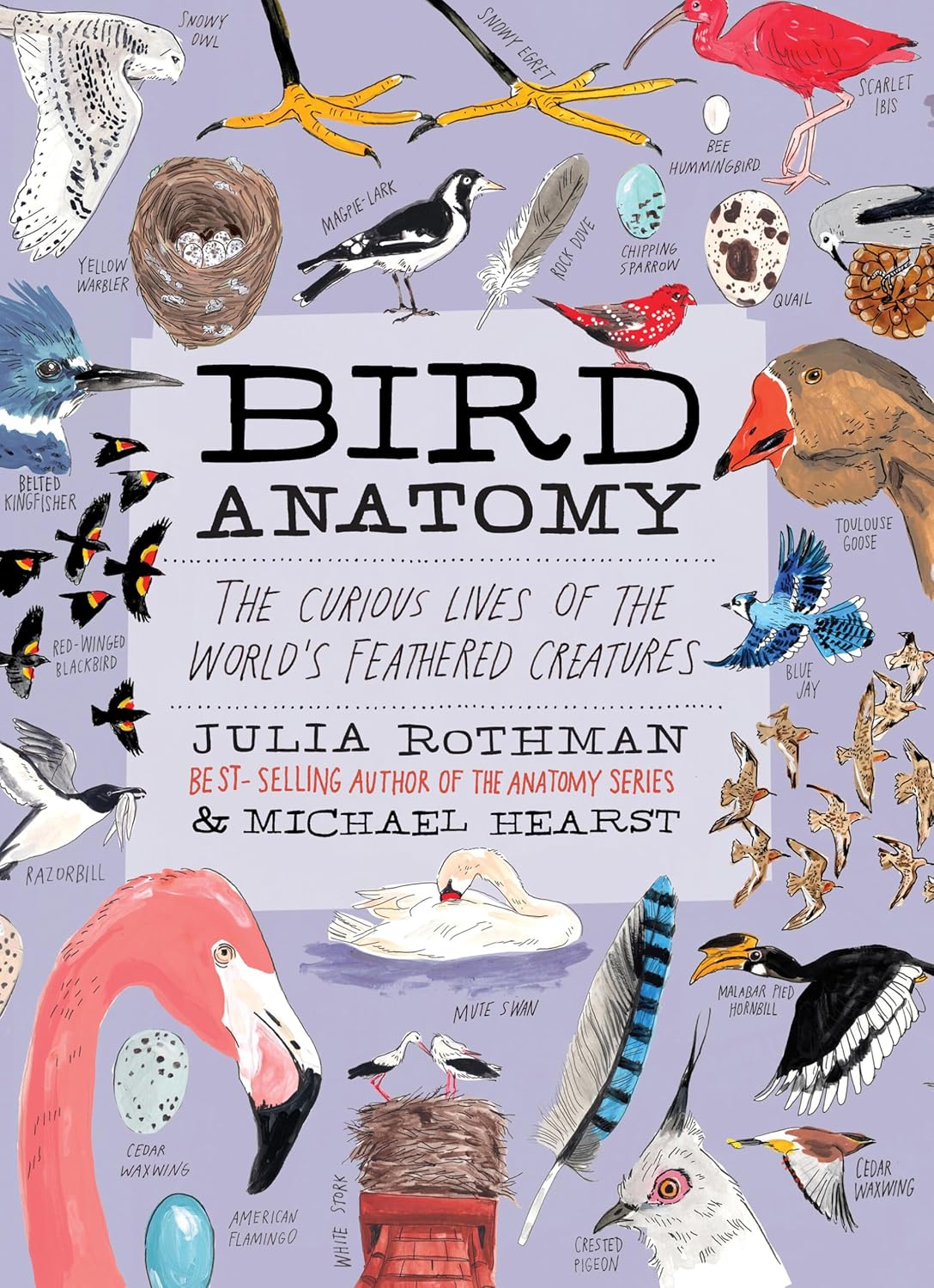 Bird Anatomy: The Curious Lives of the World's Feathered Creatures - Image 1