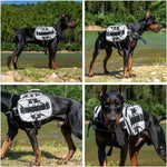 Gray medium dog backpack adjustable straps and flexible buckle details