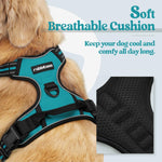 Rabbitgoo pet vest showing dual leash attachment rings