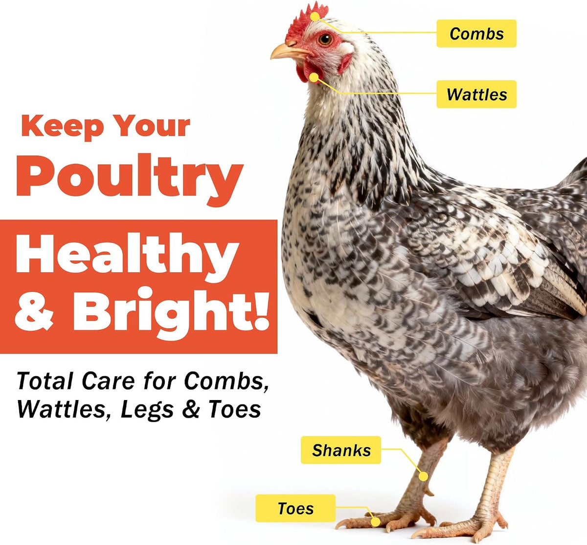 BiKontrun poultry drinking water additive liquid supplement for roosters and hens