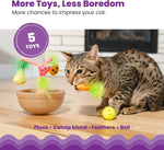 Multicolor cat toy set including dangling plush fruit components