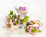 Abbott Collection clear glass 5 fluid ounce serving vessel