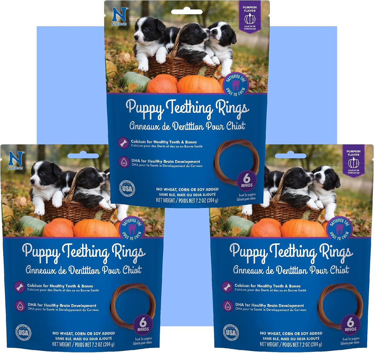 N Bone puppy teething rings pumpkin flavor front view package