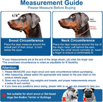 Adjustable nylon head halter side profile view on a small dog.