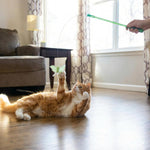 Catstages flutter bug wand showing flexible wire and moth design
