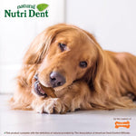 Close-up view of the rawhide-free dog dental chew texture and scrubbing knots