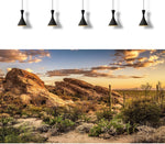 OHIOCATII aquarium background sheet showing the seamless high-definition Saguaro cactus print.