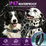Remote control and training collar set for dogs