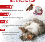 Premium imported squeaking cat toy for indoor hunting exercise.