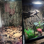 Tfwadmx 2PCS Cork Terrarium Background 11.8"x7.9" Natural Cork Bark Backdrop Reptile Background Climbing Wall Terrarium Accessories for Lizard,Tortoise,Gecko,Bearded Dragon,Chameleon - Image 9