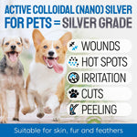 SILVER GRADE colloidal silver spray for dog hot spots and rashes