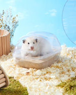 Fufuzooie desert sand pouch for small pets