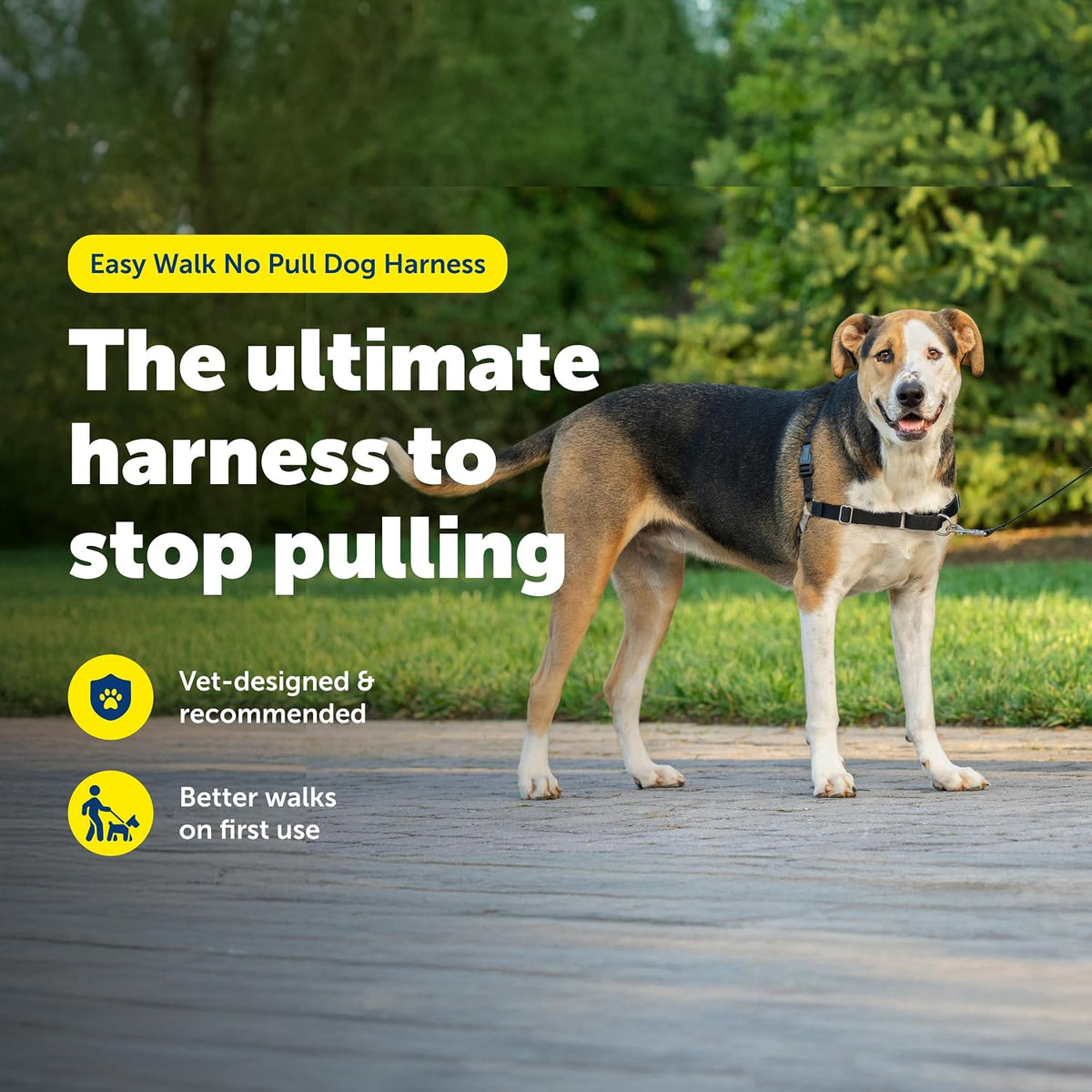 PetSafe no-pull harness martingale chest loop detail