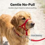 Zevey authentic imported pet training collar in red showing safety strap connection.