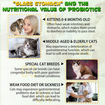 Oimmal liquid cat supplements for digestive health and stool softening