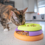 Cat engaging with Nina Ottosson level 2 puzzle toy