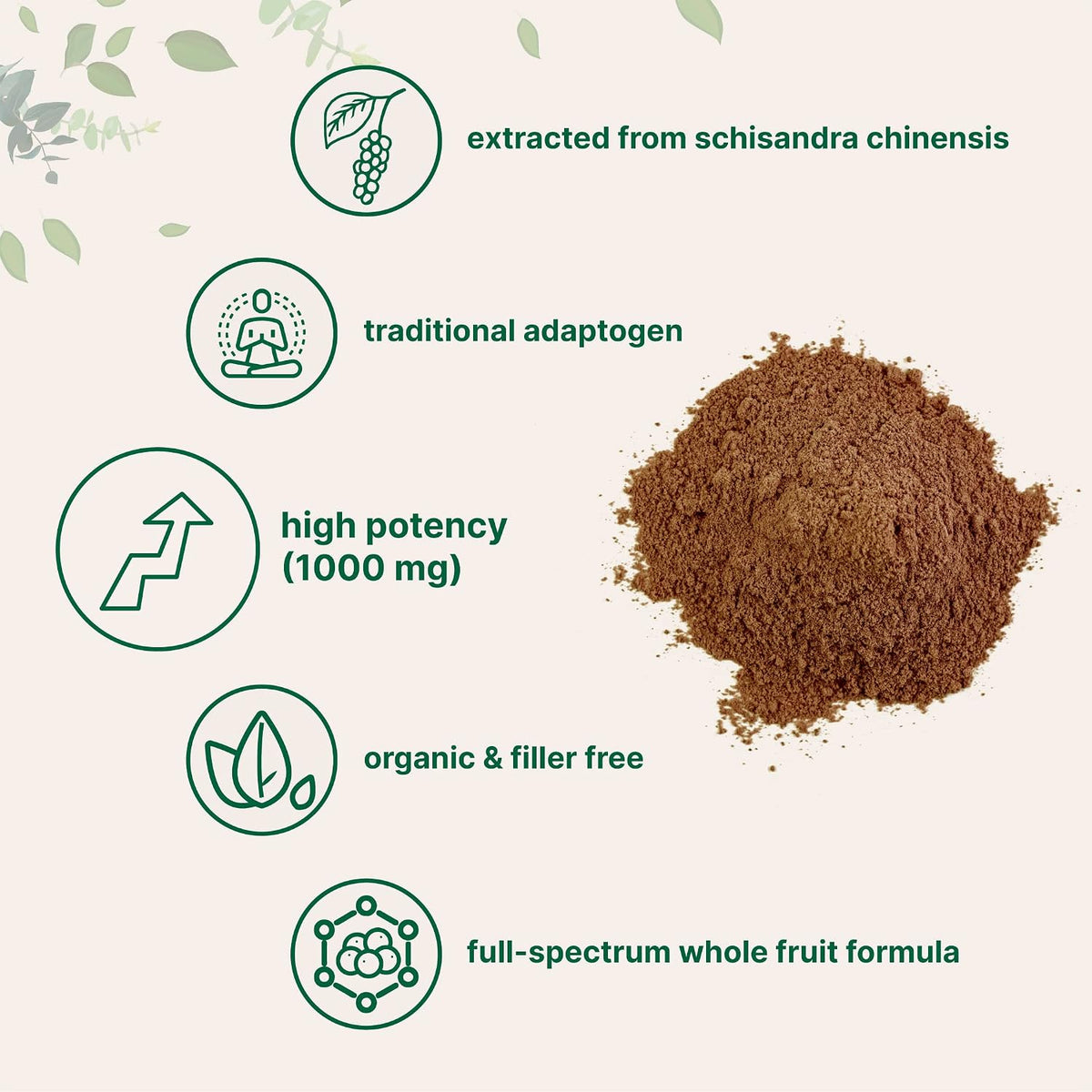 Organic Schisandra extract powder scoop measurement view