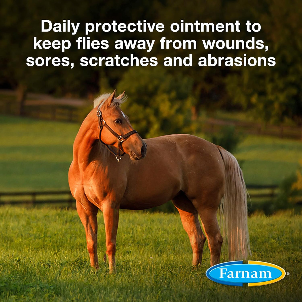 Farnam SWAT fly repellent pink cream application on horse ear area