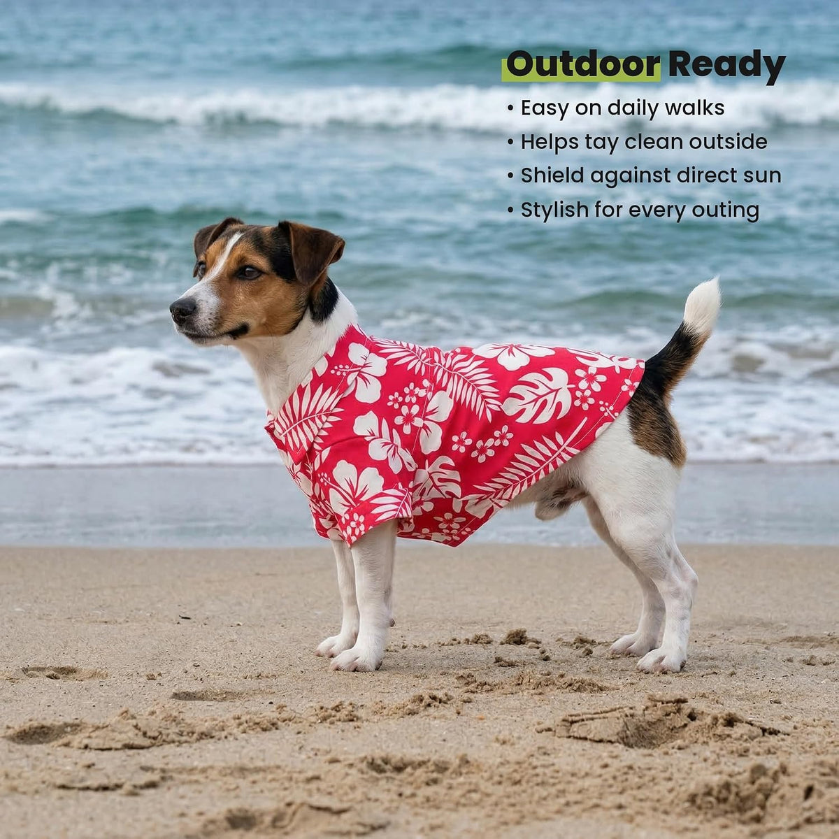 Small dog ready for summer beach day in Hawaiian shirt
