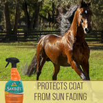 Silk protein enriched pet detangling spray bottle back label directions.
