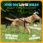 2 Hounds Design harness back martingale loop feature