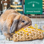 Oxbow Enriched Life small pet cage accessory packaging details