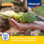Parakeet eating Sunseed Vita Prima nutritious seed mix from dish