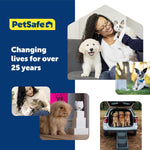 PetSafe royal blue premium nylon dog collar close up loop