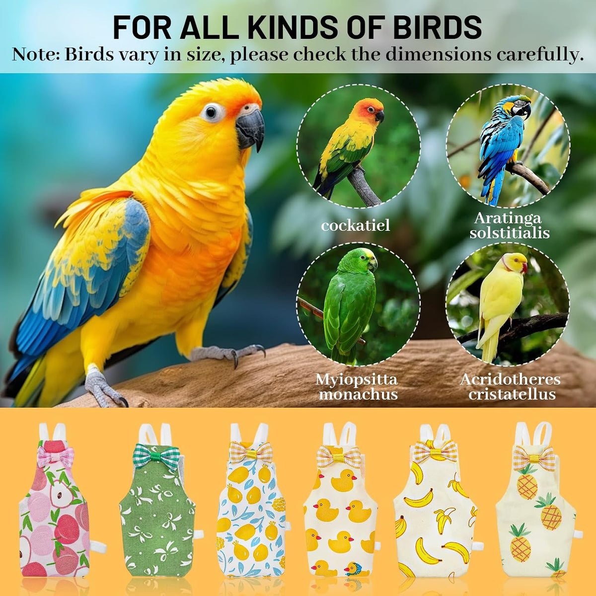USA imported Telooco parrot diaper kit package contents for Indian bird owners