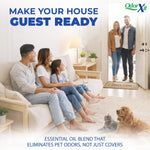 OdorXit non toxic urine salt neutralizer for wood floors and fabrics
