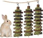 kathson Guinea Pig Treats Hanging Bunny Chew Toys for Teeth Grinding, Organic Bamboo Sticks Natural Rabbit Enrichment Toys for Small Animals Hamster Chinchilla 2 Pack - Image 13