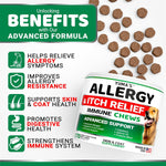 Dog skin and coat supplement soft chews in beef liver flavor