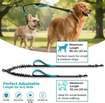 Shock absorbing bungee section of the wikiRay double dog lead extension