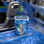 USA imported ICE BREAKERS Ice Cubes peppermint flavored dental gum