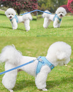 Petank puppy harness close up of breathable jacquard mesh fabric texture.