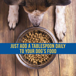 SynergyLabs premium fish oil liquid supplement for dog skin and coat health.