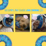 Blue inflatable post surgery pet recovery collar for large breeds