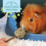 USA imported natural wood and hay chew pop for small pet mental stimulation.