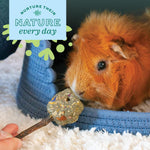 Wire free organic hay toy for small animal dental wear