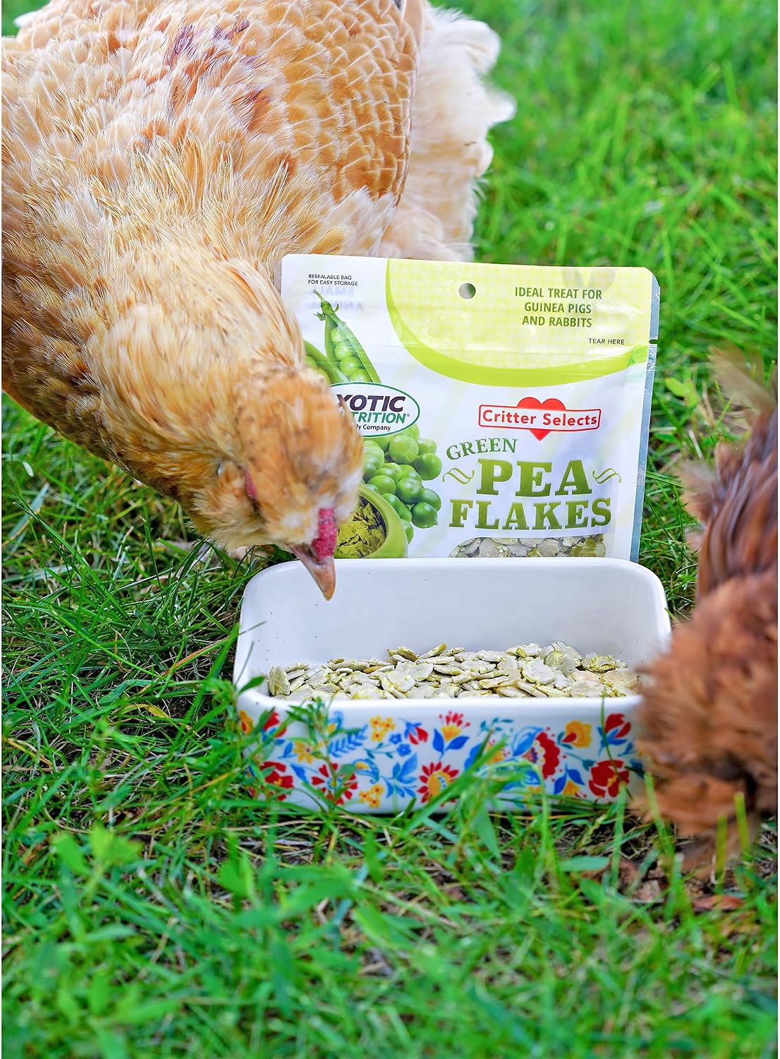 Authentic USA imported Exotic Nutrition small pet supplementary food bag