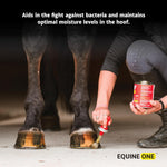 Mineral Medix Equine One all natural solution for equine thrush and abscess care