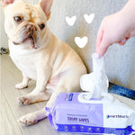 Earthbath grooming wipes lid detail