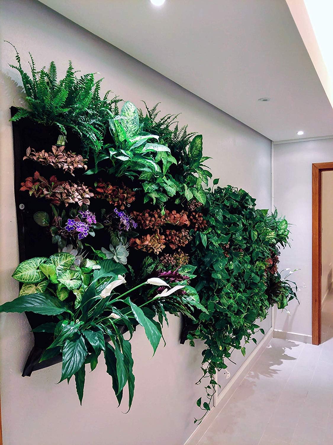 Delectable Garden vertical garden wall planter front view